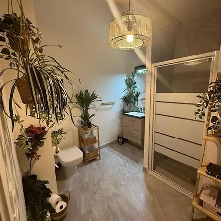 Cosy Avec Terrasse A
