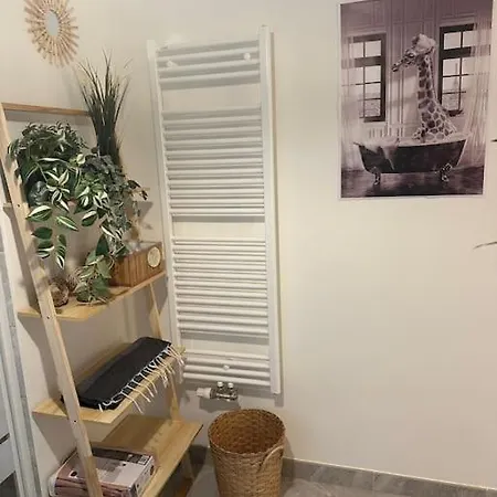 Cosy Avec Terrasse A 公寓 蒙泰夫兰